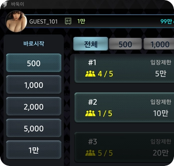 와일드바둑이