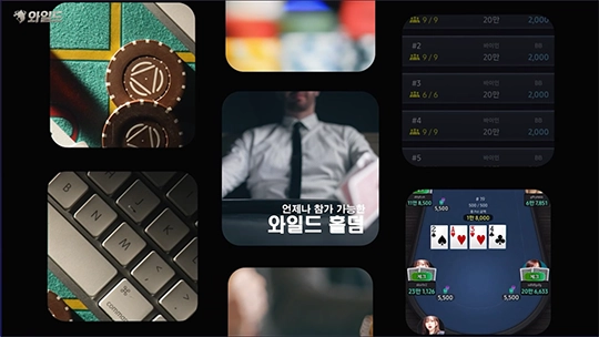 와일드홀덤