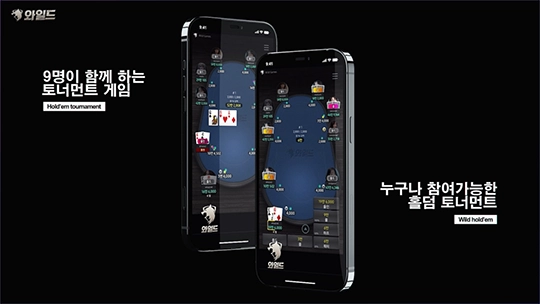 와일드홀덤