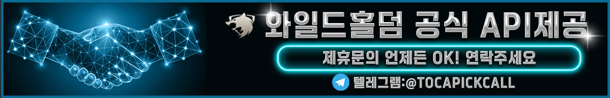 와일드홀덤 공식API